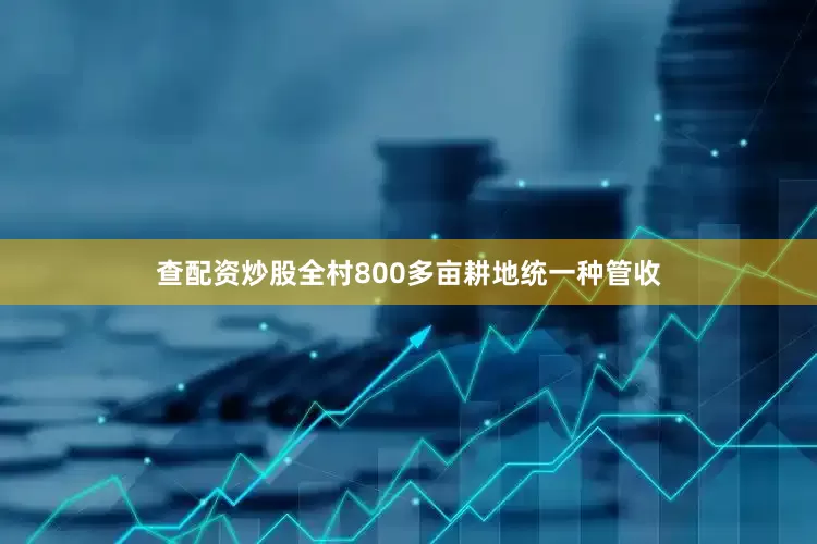 查配资炒股全村800多亩耕地统一种管收
